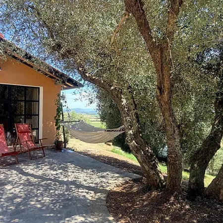 Casale Poggio Degli Allocchi * Giuncarico